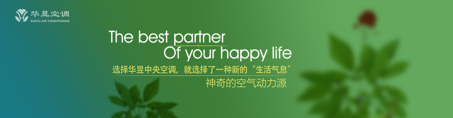 半死不活网